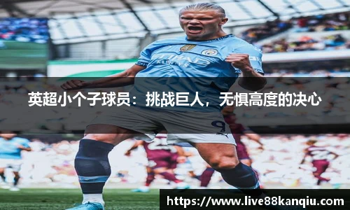 88看球体育