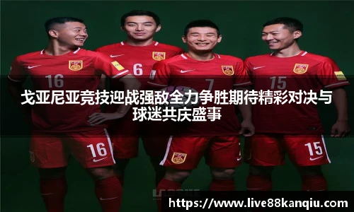 88看球体育直播